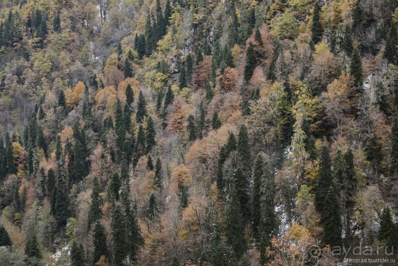 Между Псоу и Ингур. Часть 1