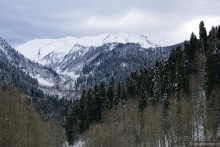 Между Псоу и Ингур. Часть 1