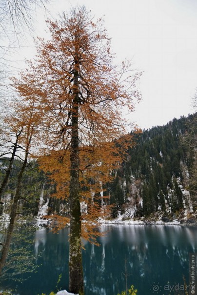 Между Псоу и Ингур. Часть 1