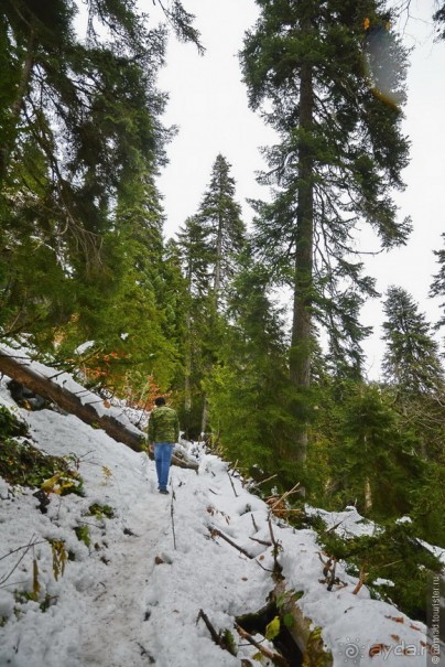 Между Псоу и Ингур. Часть 1