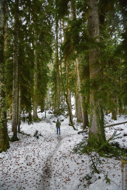 Между Псоу и Ингур. Часть 1