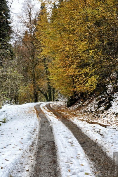 Между Псоу и Ингур. Часть 1