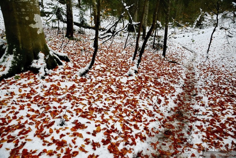 Между Псоу и Ингур. Часть 1