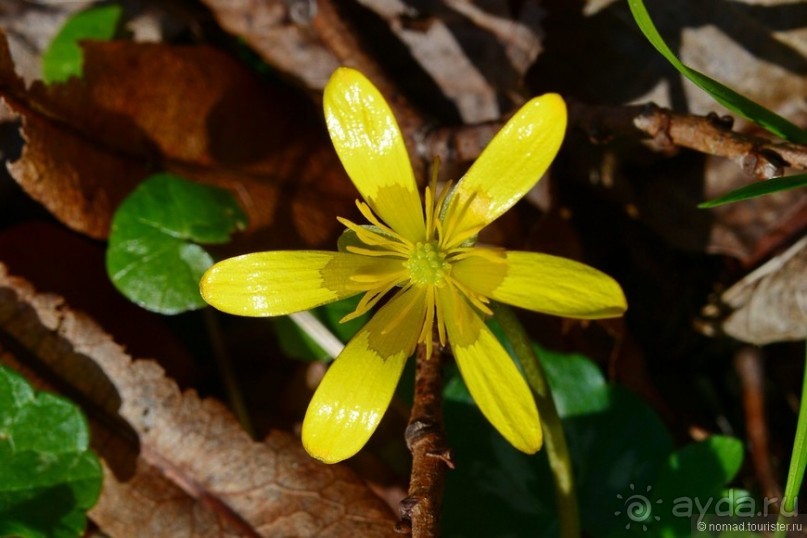 Замок Шантийи, Париж