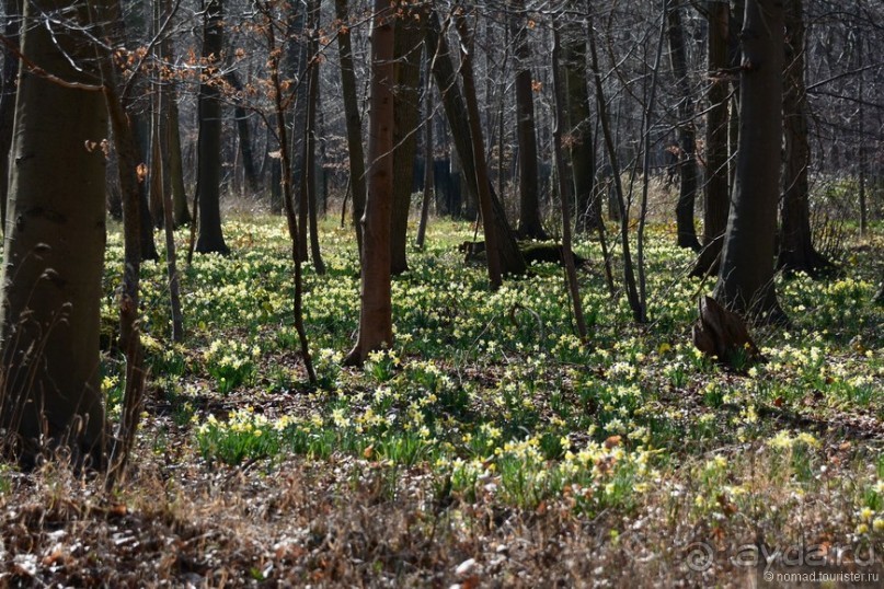 Замок Шантийи, Париж