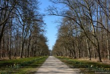 Замок Шантийи, Париж