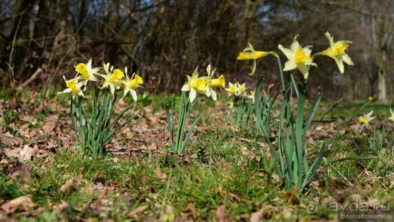 Замок Шантийи, Париж