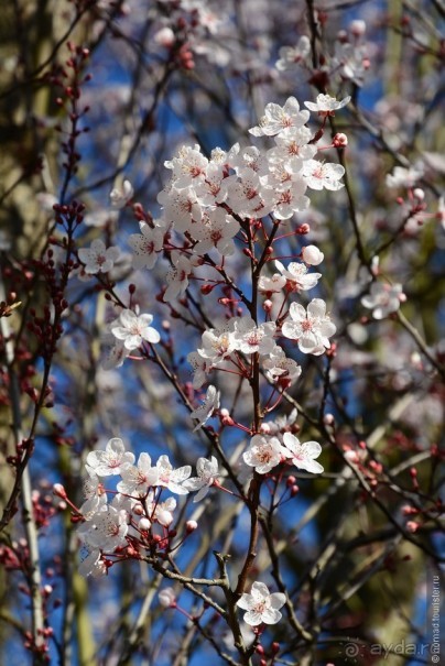 Замок Шантийи, Париж