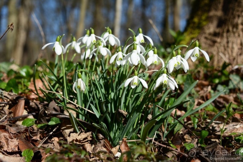 Замок Шантийи, Париж