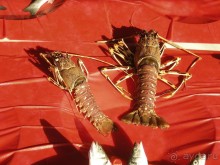 Стамбул за три дня, или NO SHOPPING. Часть 3