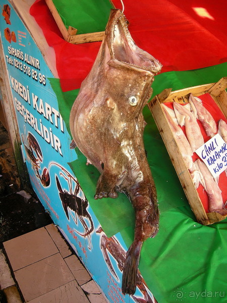 Стамбул за три дня, или NO SHOPPING. Часть 3