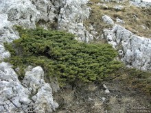 Франшиза или жизнь. На Ситроене по Черногории. Часть 2