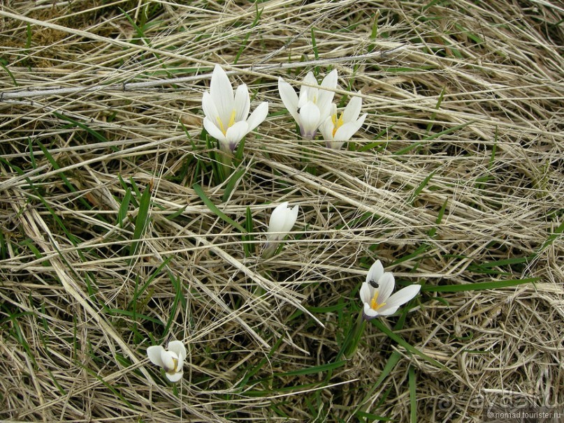 Франшиза или жизнь. На Ситроене по Черногории. Часть 2