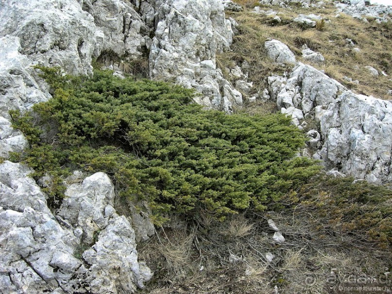 Франшиза или жизнь. На Ситроене по Черногории. Часть 2