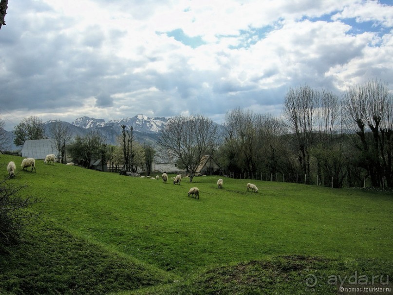 Франшиза или жизнь. На Ситроене по Черногории. Часть 2