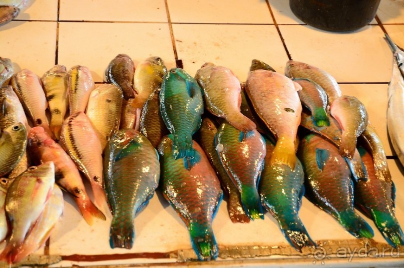 По филиппинским городам и весям. Часть 3