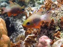 По филиппинским городам и весям. Часть 3