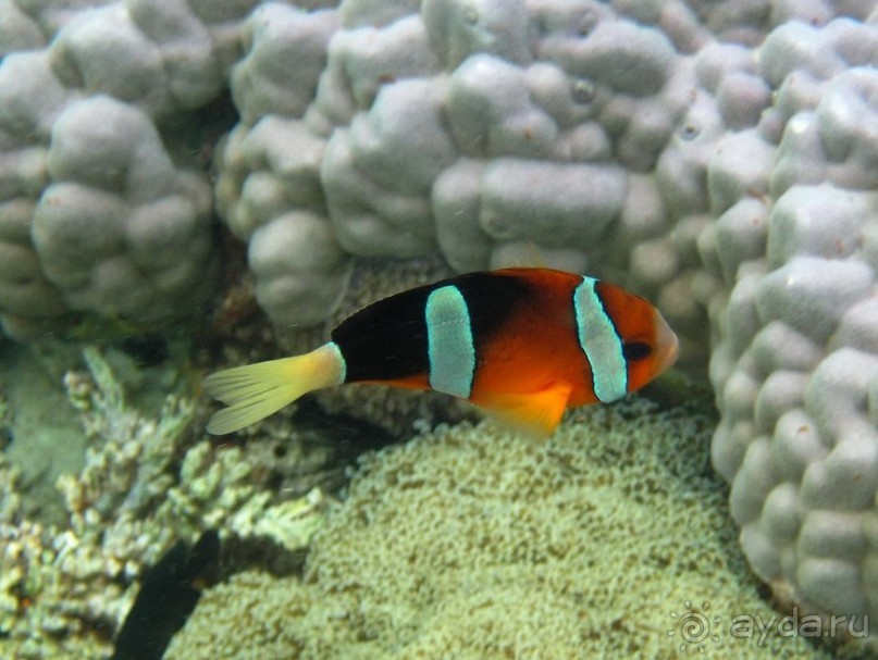 По филиппинским городам и весям. Часть 3