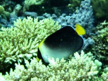 По филиппинским городам и весям. Часть 3