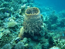 По филиппинским городам и весям. Часть 3