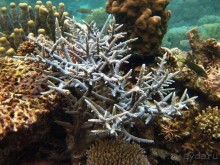 По филиппинским городам и весям. Часть 3