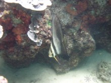 По филиппинским городам и весям. Часть 3