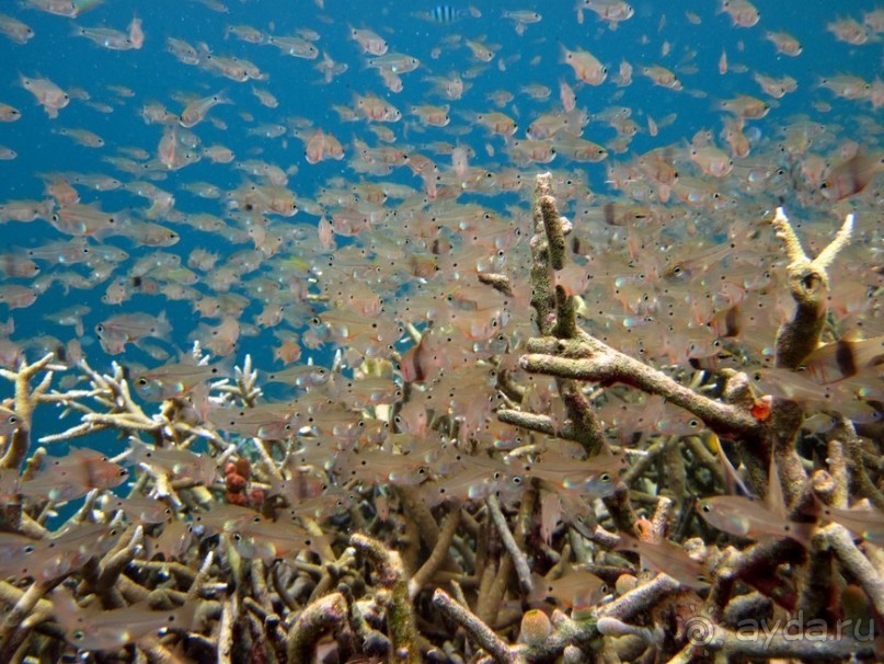 По филиппинским городам и весям. Часть 3