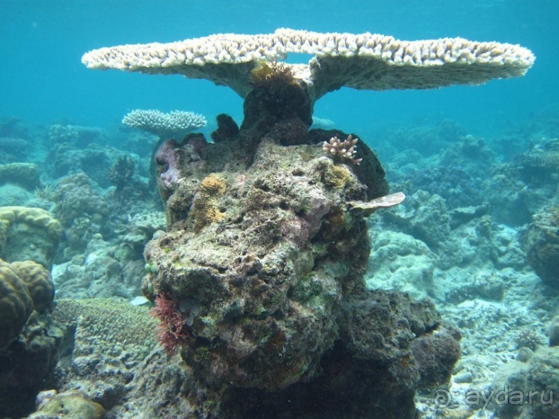 По филиппинским городам и весям. Часть 3