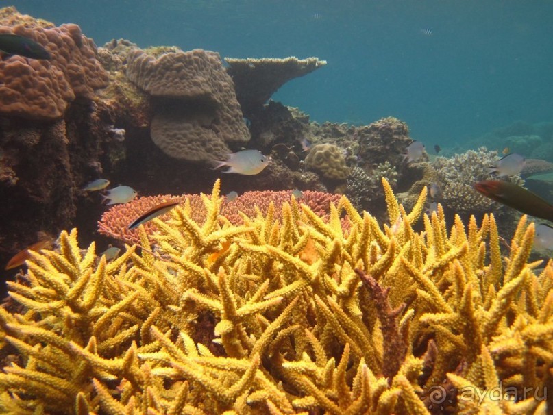 По филиппинским городам и весям. Часть 3