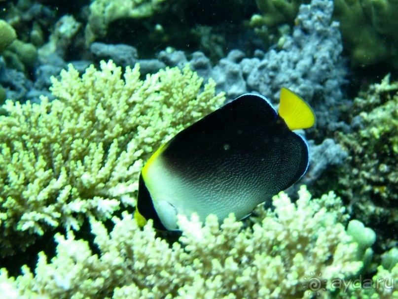 По филиппинским городам и весям. Часть 3