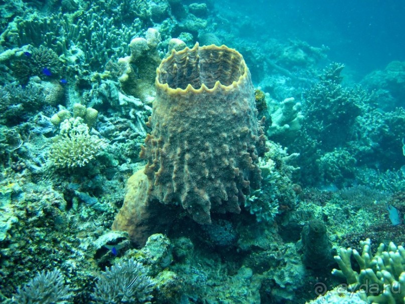 По филиппинским городам и весям. Часть 3