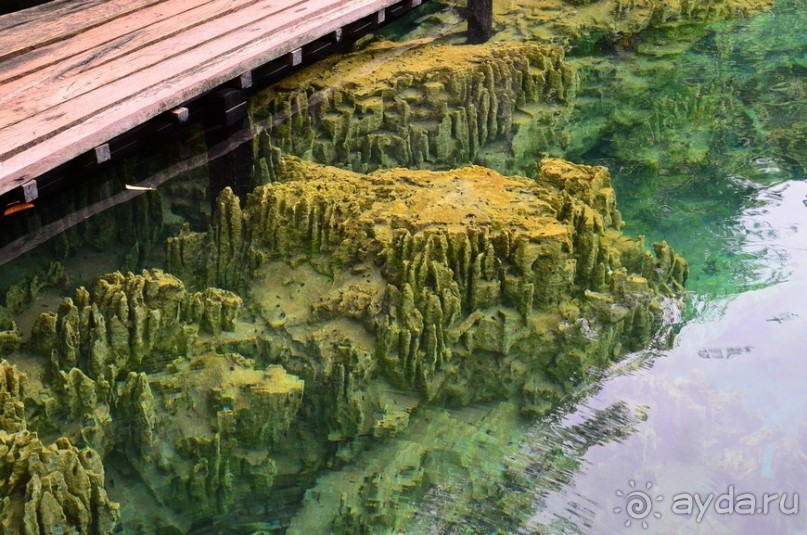 По филиппинским городам и весям. Часть 3