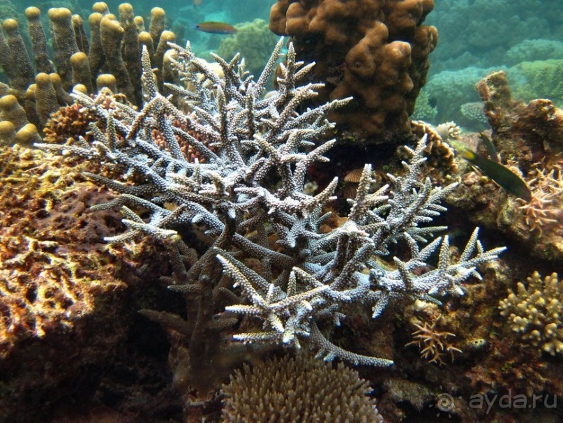 По филиппинским городам и весям. Часть 3