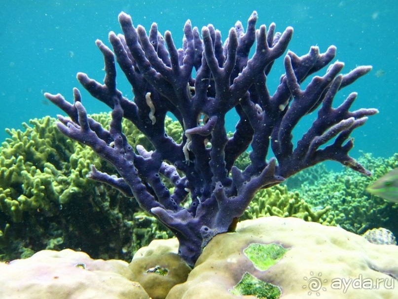 По филиппинским городам и весям. Часть 3