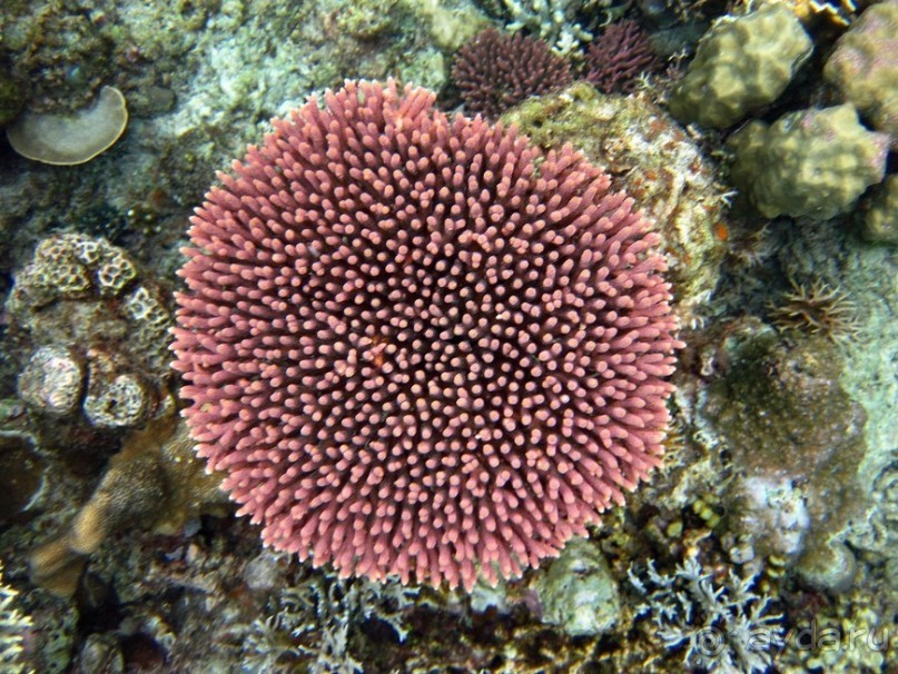 По филиппинским городам и весям. Часть 3