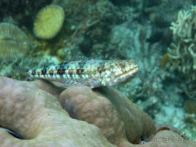 По филиппинским городам и весям. Часть 3
