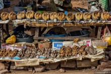 Африканское ралли. Часть 8. Замбия.