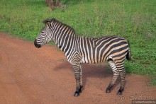 Африканское ралли. Часть 8. Замбия.