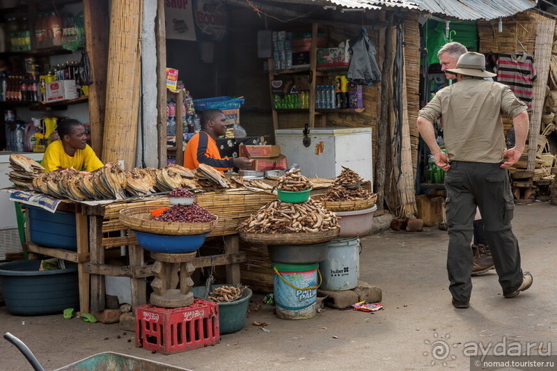 Африканское ралли. Часть 8. Замбия.
