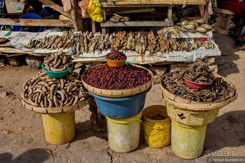 Африканское ралли. Часть 8. Замбия.