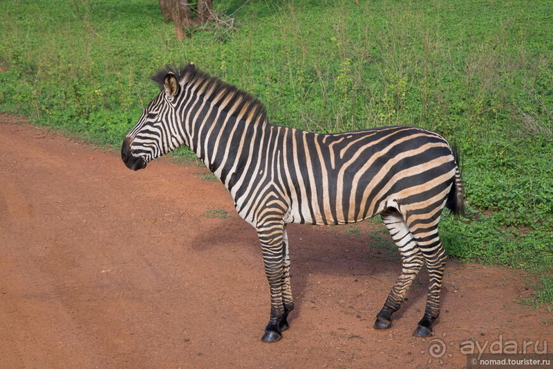 Африканское ралли. Часть 8. Замбия.