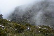 Африканский калейдоскоп. Часть 3