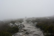 Африканский калейдоскоп. Часть 3