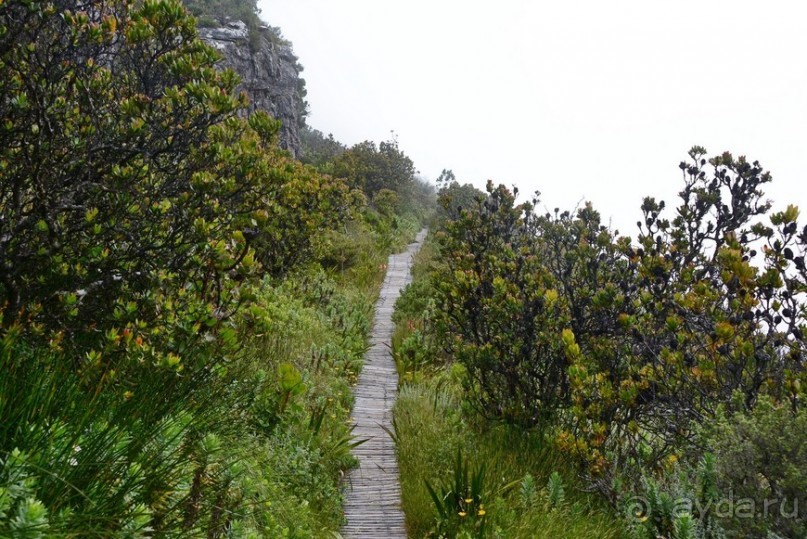 Африканский калейдоскоп. Часть 3