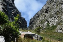 Африканский калейдоскоп. Часть 3