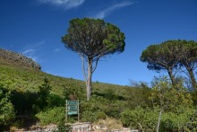 Африканский калейдоскоп. Часть 3