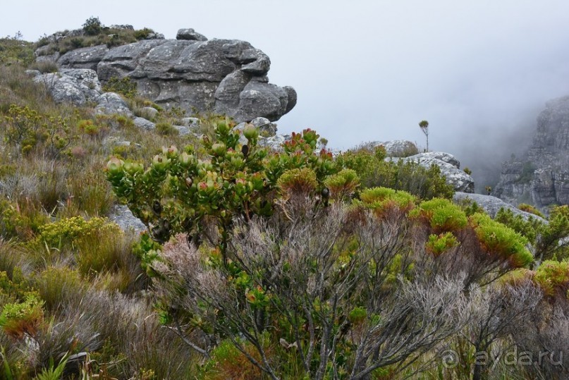 Африканский калейдоскоп. Часть 3