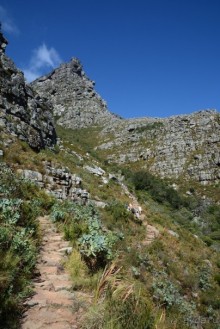 Африканский калейдоскоп. Часть 3