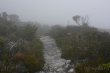 Африканский калейдоскоп. Часть 3