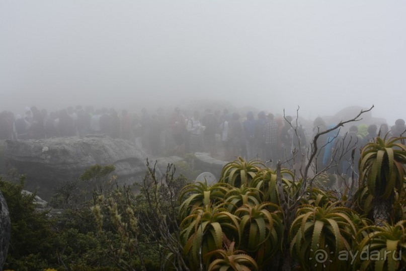 Африканский калейдоскоп. Часть 3